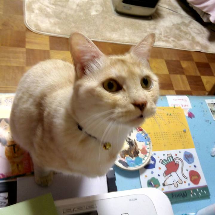 7735dff4 383e 4155 9a09 fe22bfc5aba9 1512740776879