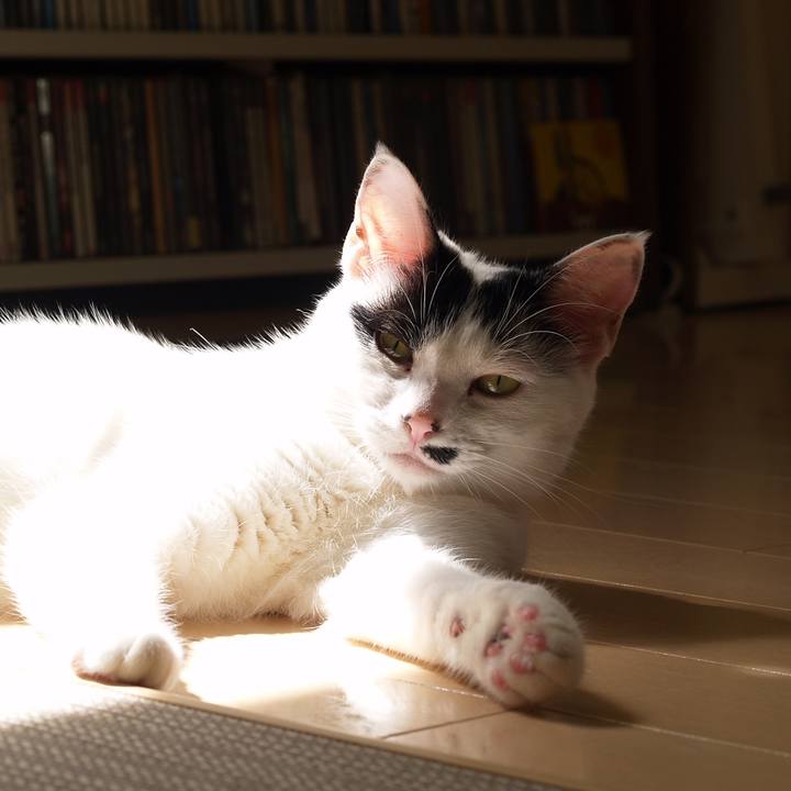 7735fbe9 153d 4fd7 bc55 f01ad5dfba79 1764460057061