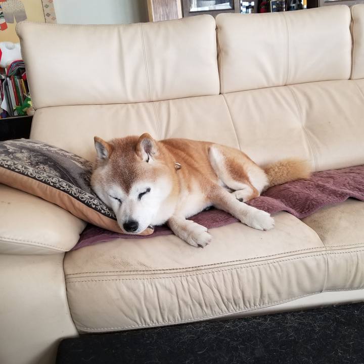 773640c2 6170 474b 98b8 64292091df9e 1741479582436