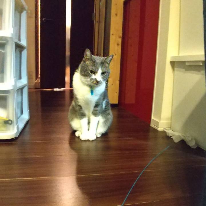 77364f20 dc93 4c9f 9d15 67f3d27c4f59 1644587238388