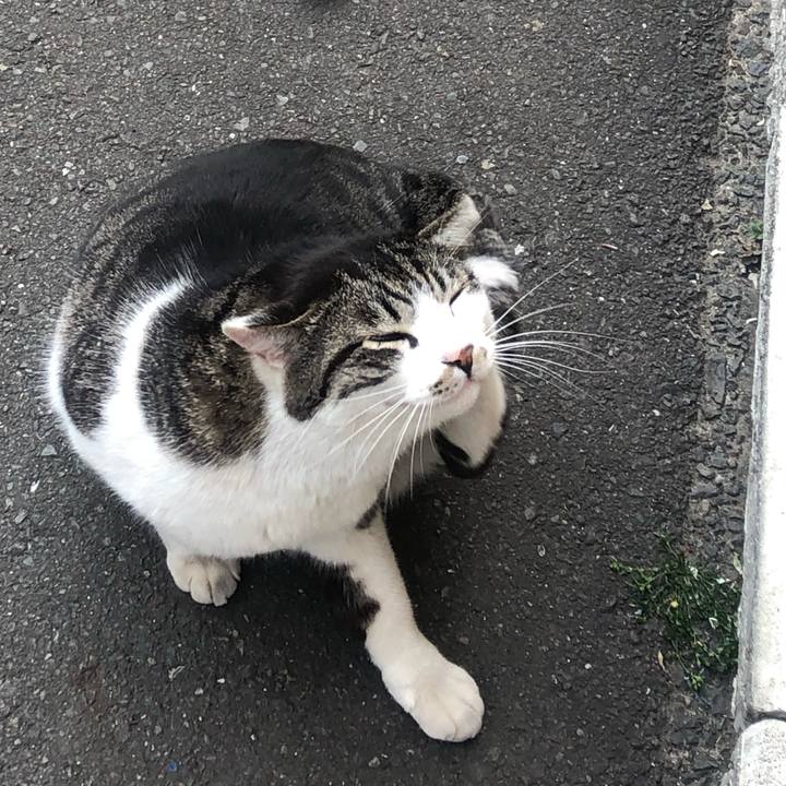 77365adc 5e9f 4092 bdd9 649728963b06 1556250100408