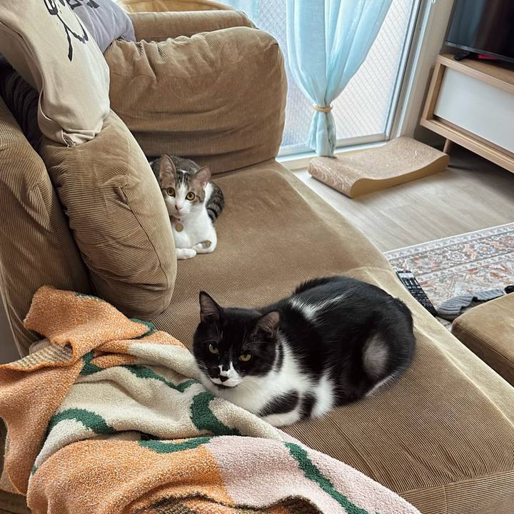 7736ab8b 546d 4cd7 ad9e b9ff2d8c55b1 1776587138097