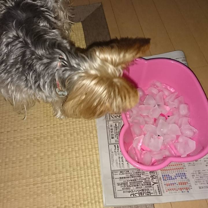 7736ac51 5053 4eda 940f 38c5c7a02661 1536128389416