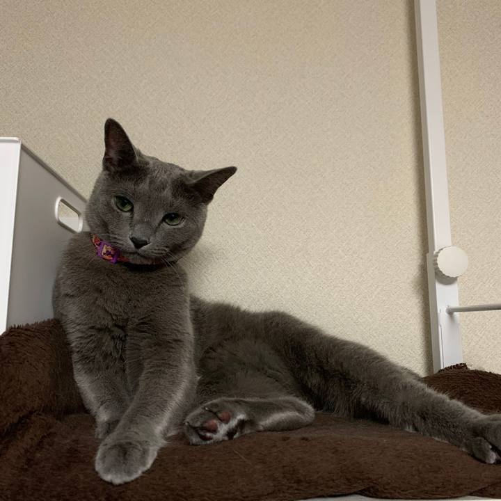 7736bb02 f972 47f5 9029 2f1e11f12bbd 1631435991450