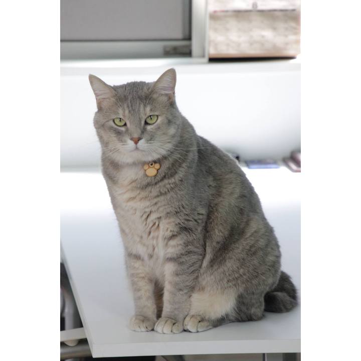 7736d1af 542e 4b78 af8e bbb8d4995c74 1597896103535