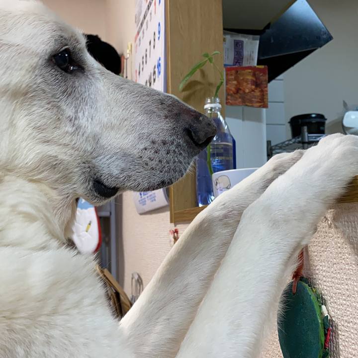 7736df43 daa4 44d6 944e 5281a2bc17cb 1611067482674