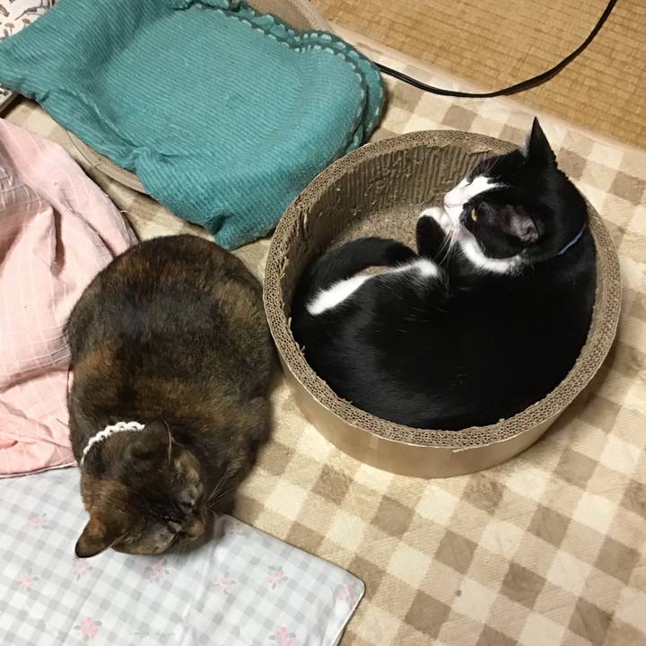 7736fa64 528c 442f a3b8 a36b02490d5a 1739693347604