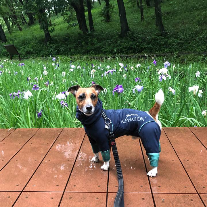 7737031d 47d7 4e19 81cc 506b01941ba3 1560121452658