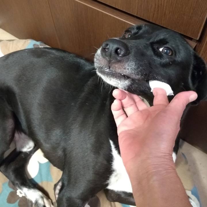 77370323 76e1 4c0c 9f59 0bababb62760 1601733771587