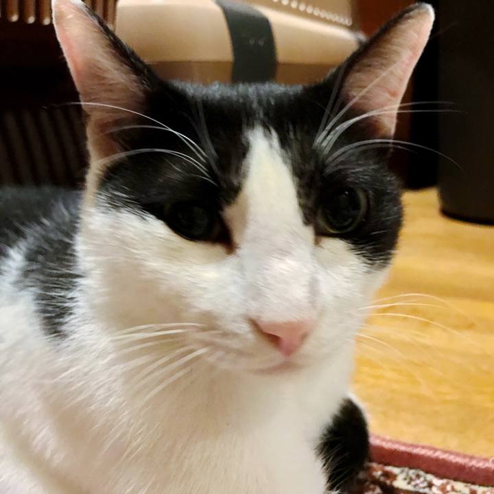 77370c0e 2c97 4cb6 9260 f79c9f296919 1508132360414