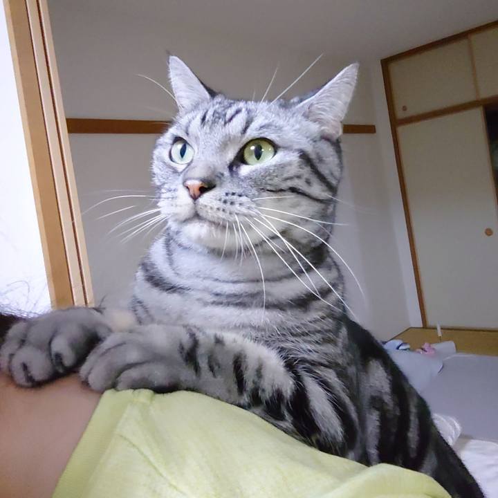 773711d5 a1aa 462d bf5d b82c7f96cd38 1649511057205