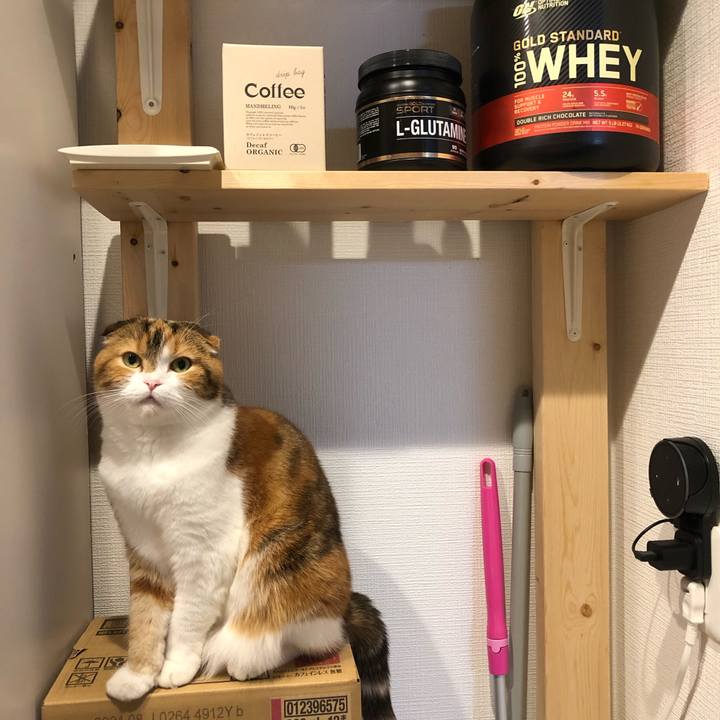 77374478 5607 485b ab65 9b069e746216 1604842474137