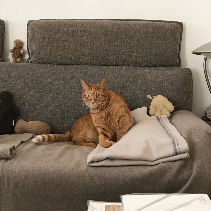 773744d6 32ca 4eec a63b 35efcae67139 1517122523684