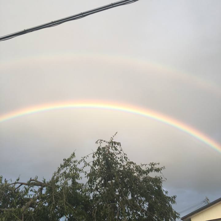 773776e2 b958 4ba0 a348 9caaaf3a3852 1538520201207