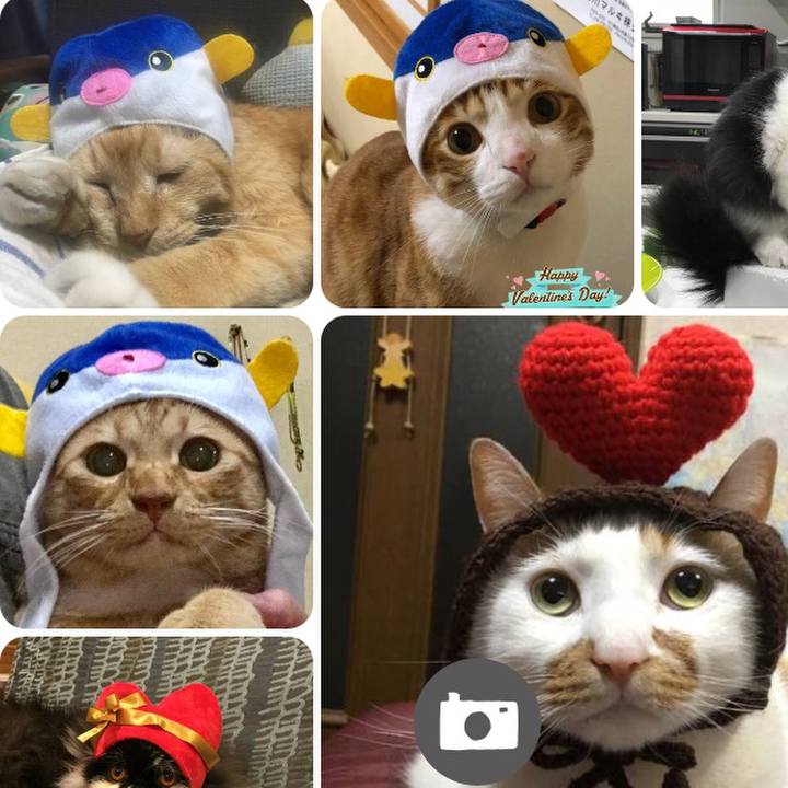 77379fcf 81e6 45a1 9d76 c514f93f37e4 1518647637270