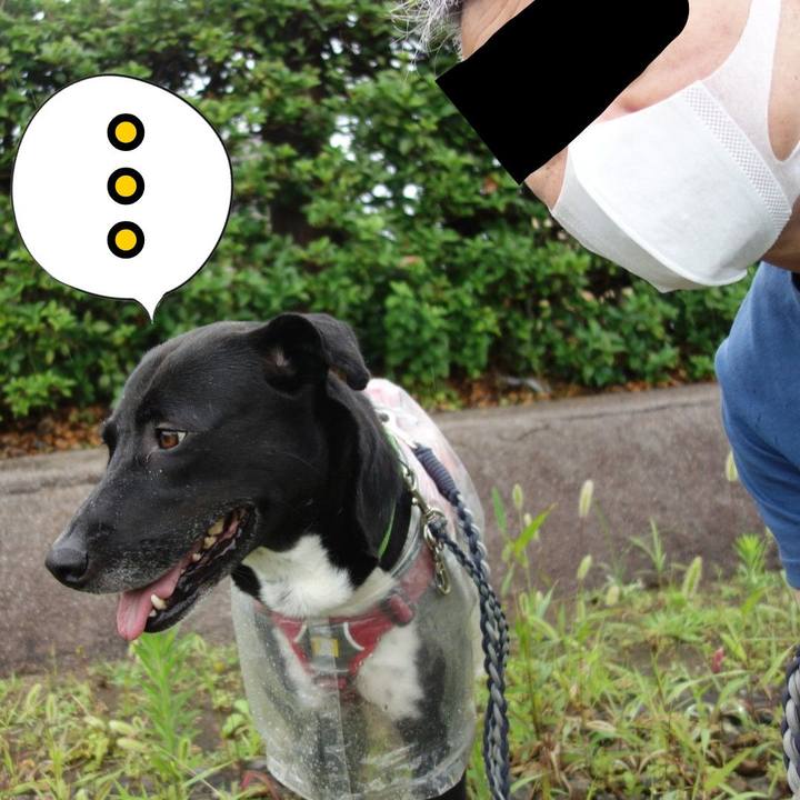 7737e341 9a04 4556 81fd ce4d554d536c 1624924310144