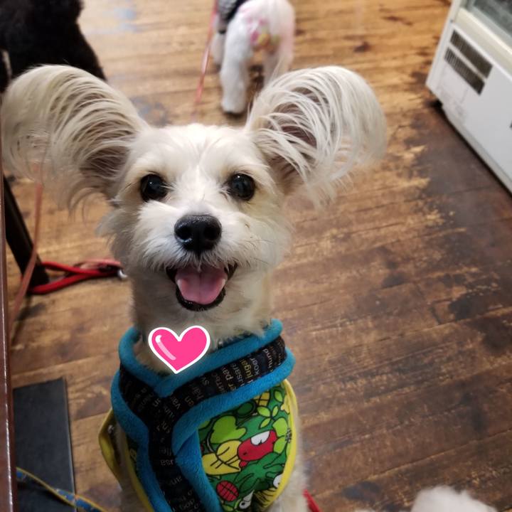 77383ddd 53f2 46bd bfa5 c70ed0501c14 1540645795179