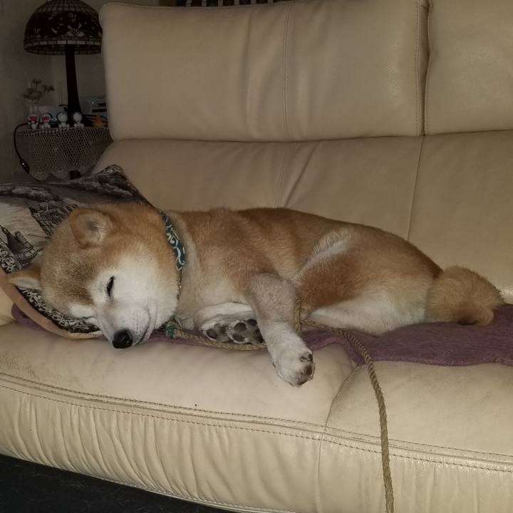 77385088 8fc5 41db 9180 338df9bb2454 1704324850630