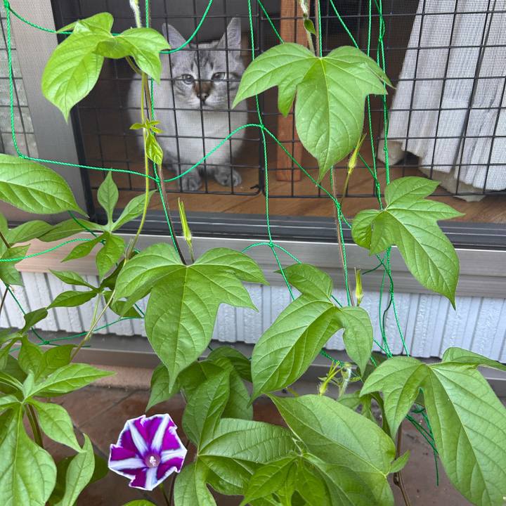 7738a131 d946 46db 9c4e 21356841fb94 1753391304985