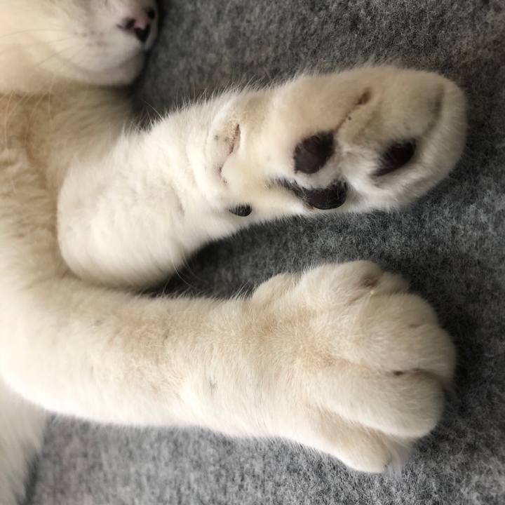 7738dcf3 f5cf 4df5 98c6 2c3351bf554b 1552033333752