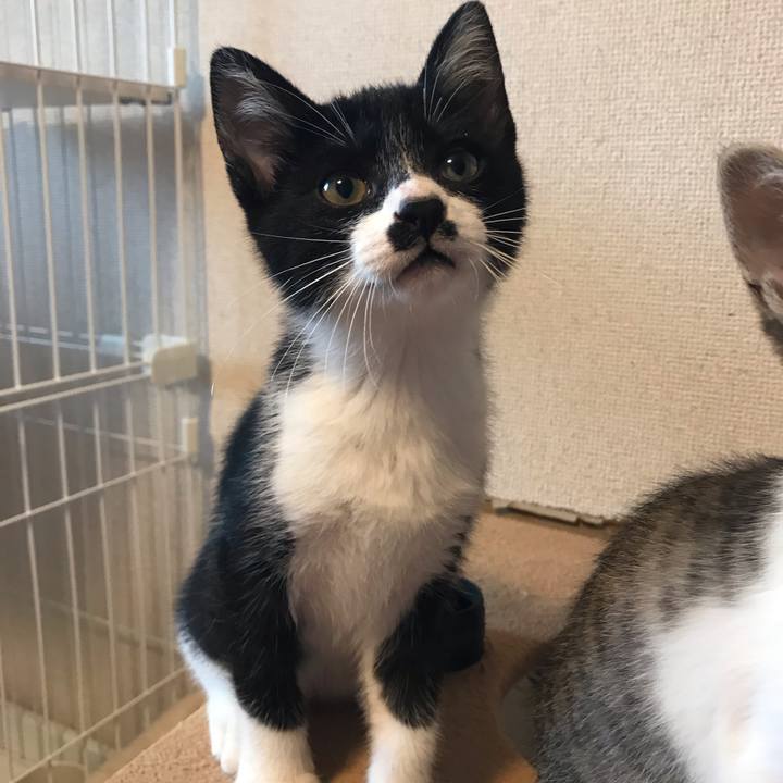 7738ec7b d255 4b5b 9126 912428615deb 1596631978759