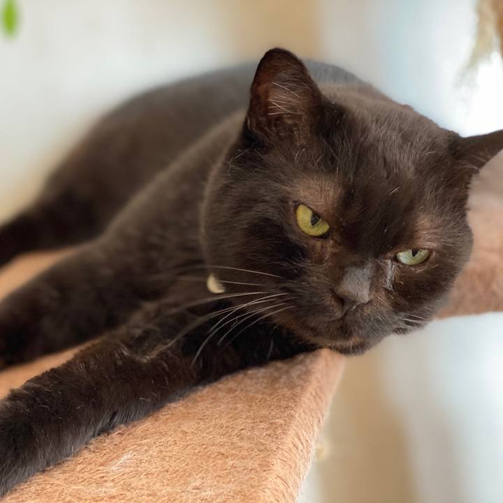 77392598 3a52 4ef8 8be0 c62587f7239c 1599700923923