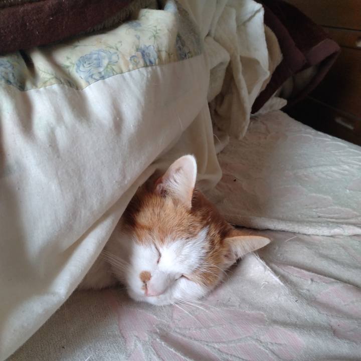 7739a99f 821f 4ff4 b169 a6f72f33cd01 1769847227600