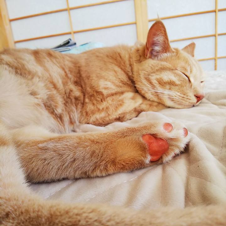 7739da22 d424 4e75 8c76 0ee38ce6abb1 1587271996948