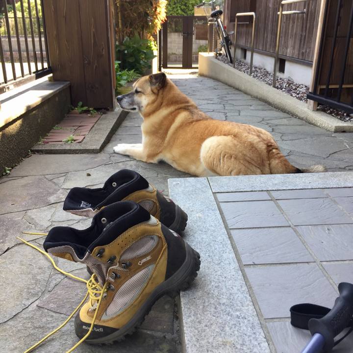 7739df23 120b 4455 b949 b5662a597569 1524358613467