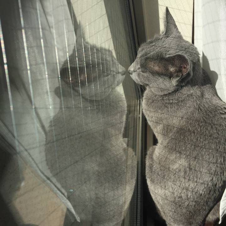 7739e01c 982d 4b81 a38e 0cb65ee4cc85 1520128348362