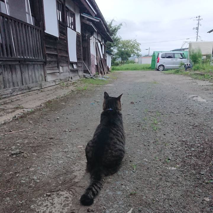 7739e080 ac4f 4e23 9dad 81aa9bee69eb 1661292527545