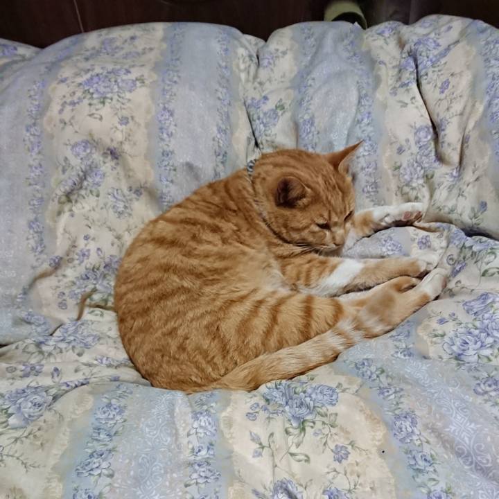 773a39d2 79bc 445d abe4 772598f38415 1575376454586