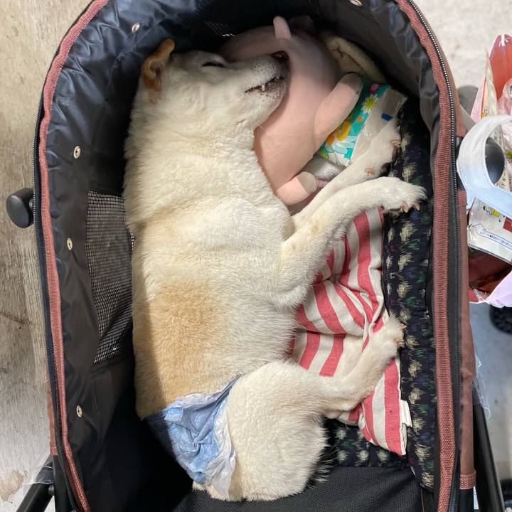 773a53ee d01a 495b 8ce1 925072b06f3f 1650461097585