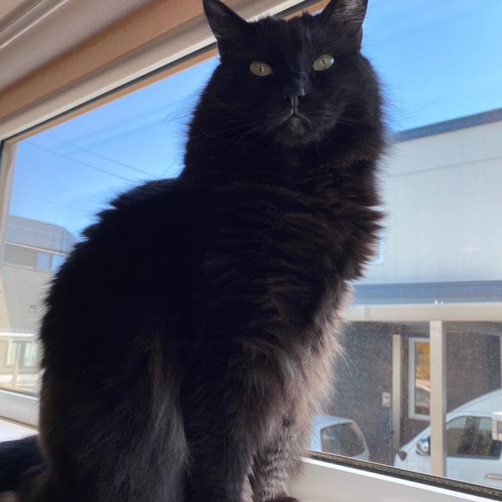 773aa463 0ee7 4e20 833f 9733c59b38ee 1585989007351