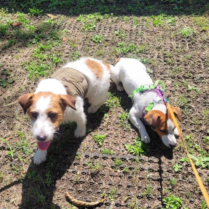 773ad667 75de 4f81 ad4f 6cf5306f0041 1686901410404