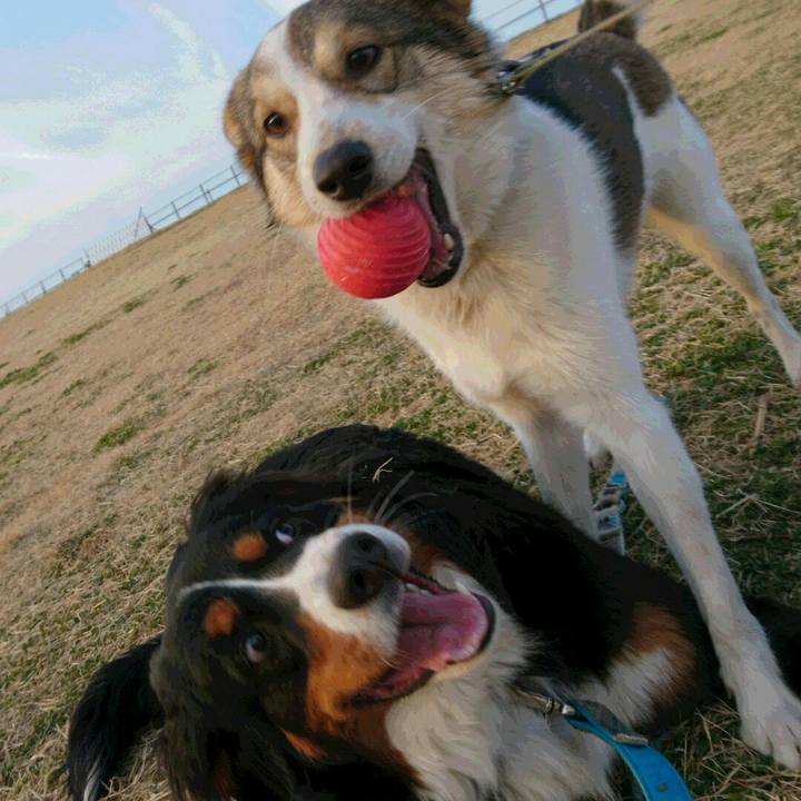 773afb01 1335 4a2d 91b8 3a5131fdc008 1520066016187