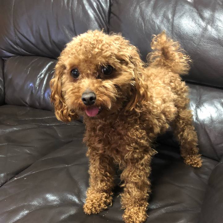 773b46bd 4e40 4cd6 ab81 954eba8989e1 1524437141253