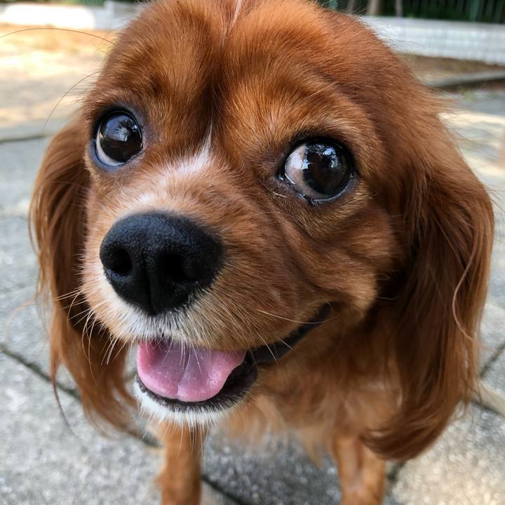 773b72c3 cdd7 4ba9 9092 947f7b5e69b2 1566085673586