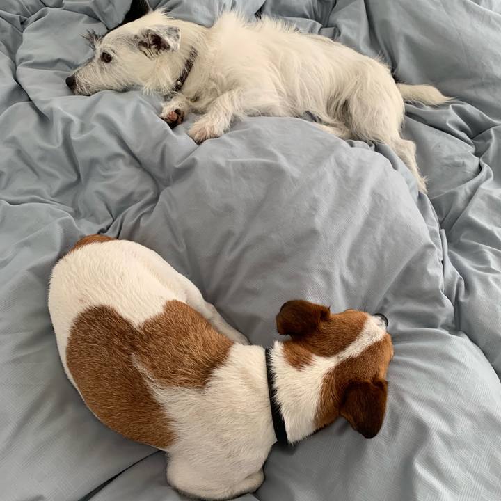 773b7b82 b253 4644 abf0 5d128ddf4bc4 1568168623719