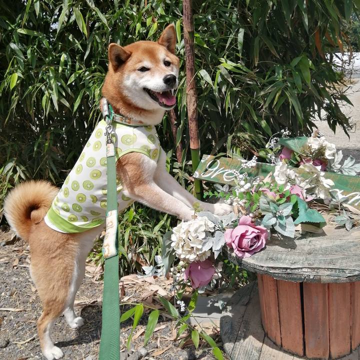 773ba4d9 ad6f 4ed8 a822 a71734c55190 1685199838304