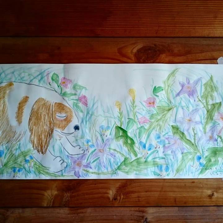 773bc5fe 3fb1 46c8 9ab7 bccf0a9b56f2 1564706398087