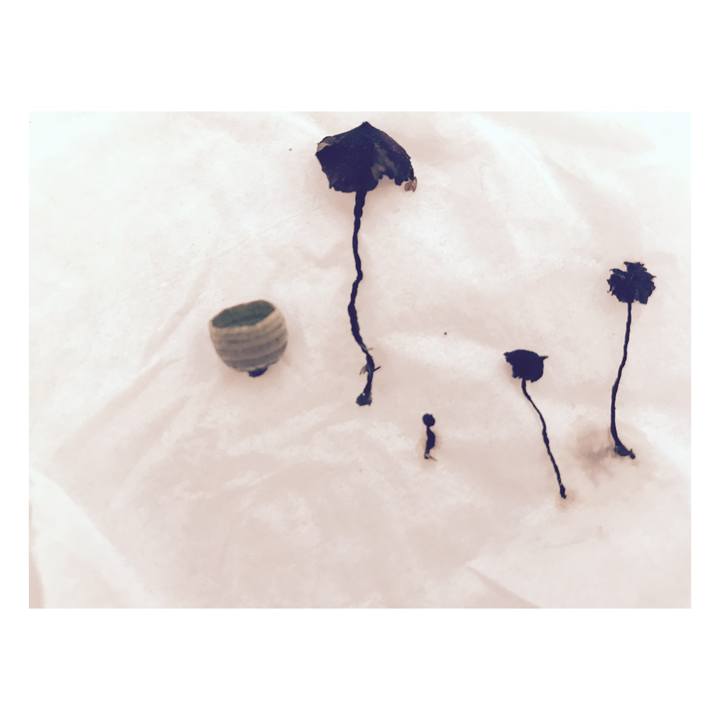 773bc85d 1735 4f3e a759 8a2e7b3cb4f7 1636681140613