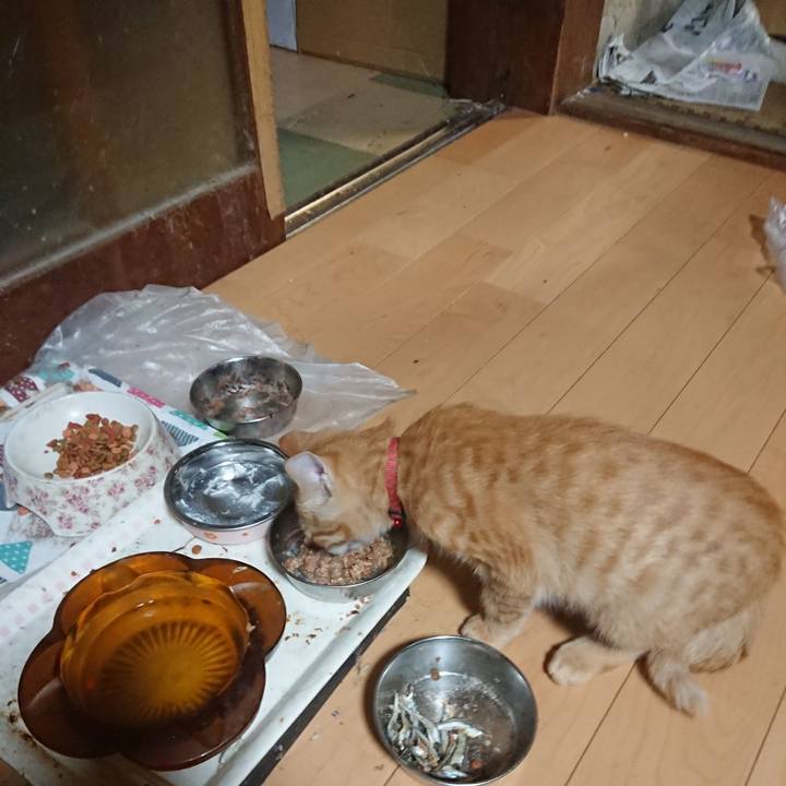 773bdd87 f558 4e1f 91e0 adcc4352b7a8 1633685102751