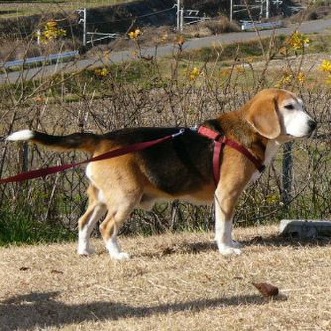 773bf3f1 ded7 41df b0fb c835dc45e0fd 1640566738124