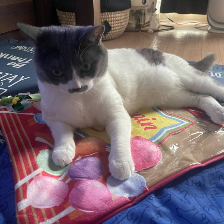 773c137b 51c4 40dd a5be 7f2c0d444ae4 1691045034840