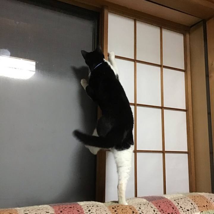 773c27cc 4bab 4dce b8b1 41e57a6d9979 1726308062915