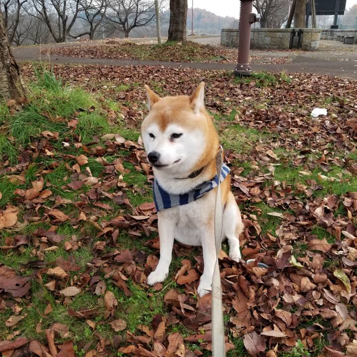 773c2cf4 be20 44d5 b349 a092d13f5ce1 1637477751764