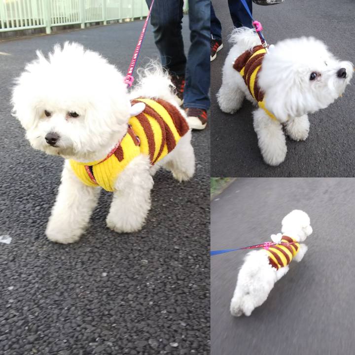 773c32dd 00a9 442b 9c7a 67b860bfd3aa 1518938299281