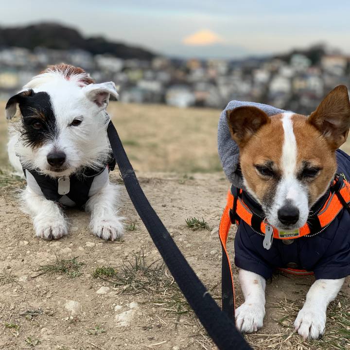 773cb809 894a 444a a5b8 0bdb1b28aa4c 1547080974657