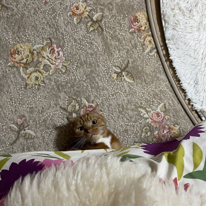 773cdfd4 6b70 4a34 b31d c9aaf0cb128b 1609674420553